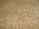 Frieze carpeting sample