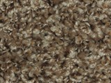 Saxony carpeting sample