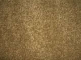 Textured plush carpeting sample